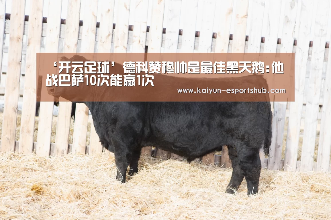 开云足球
