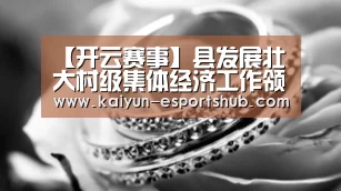 【开云赛事】县发展壮大村级集体经济工作领导小组召开2019年第二次协调会(图4) 开云赛事