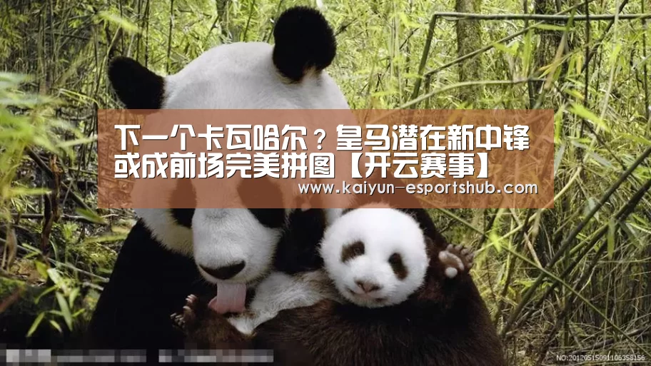 下一个卡瓦哈尔?皇马潜在新中锋或成前场完美拼图【开云赛事】(图1) 开云赛事